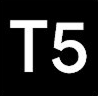 T5